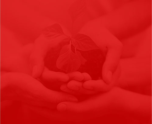 东莞网络公司家好